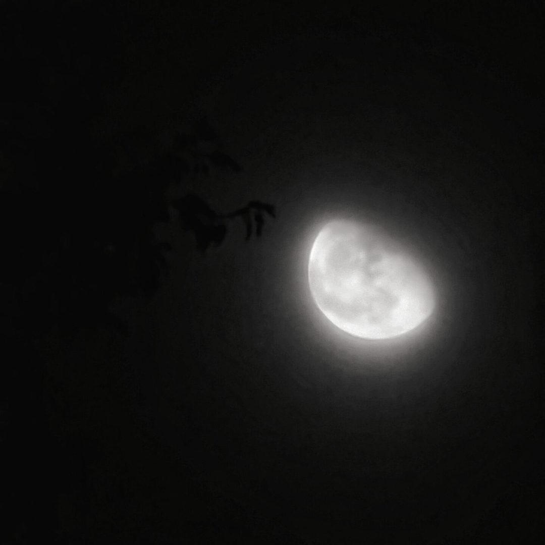 PXL_20250217_195337886